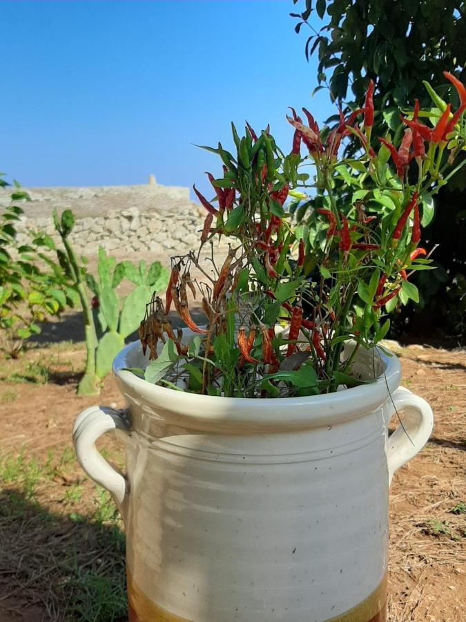 Tenuta L'Alba Di Monte Matino Otranto Zewnętrze zdjęcie